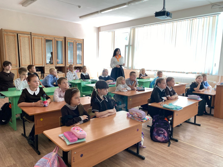В стране невыученных уроков.